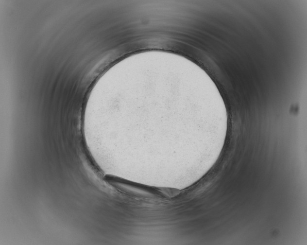 X0000113000938200910081154