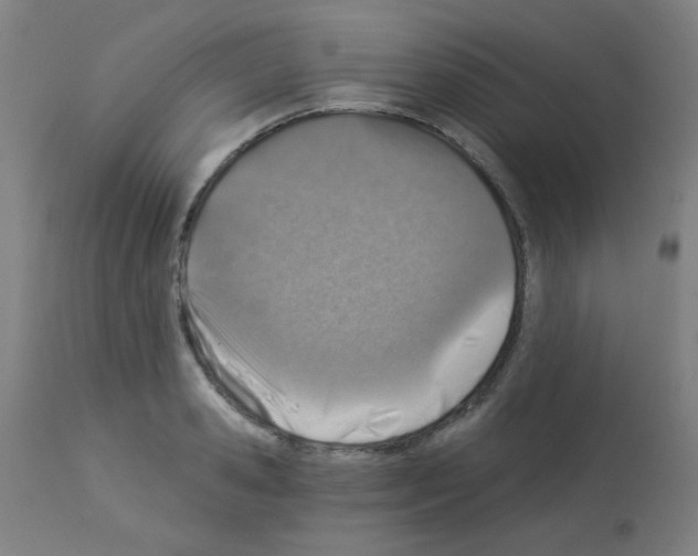 X0000113000941200910081154