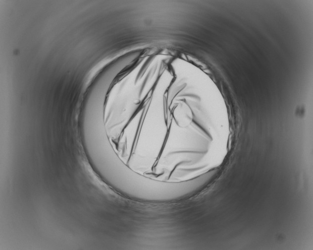 X0000113000944200910081154