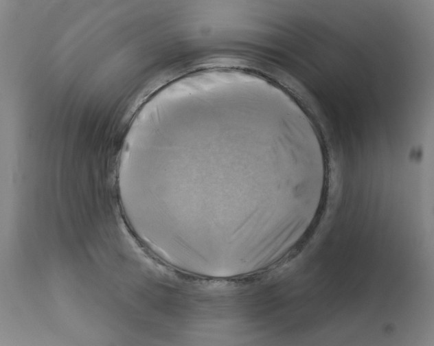 X0000113000945200910081154