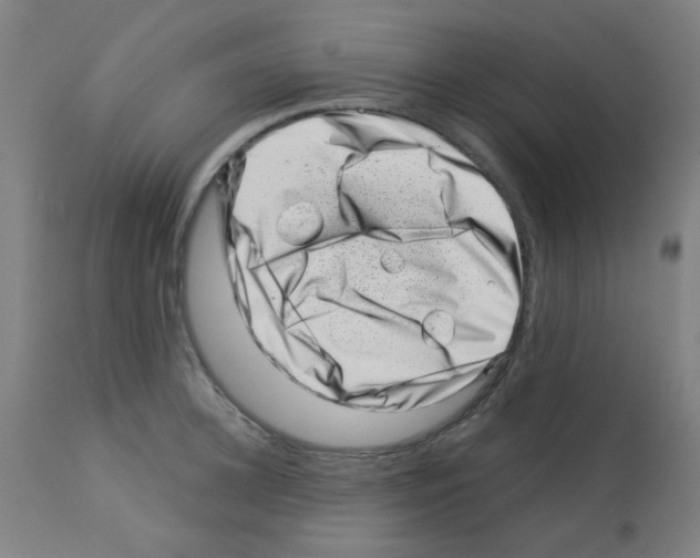 X0000113000948200910081154