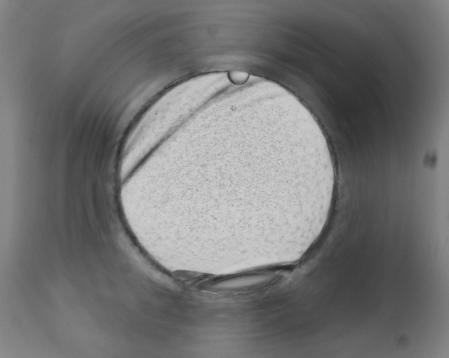 X0000113000949200910081154