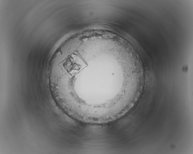 X0000113000950200910081154