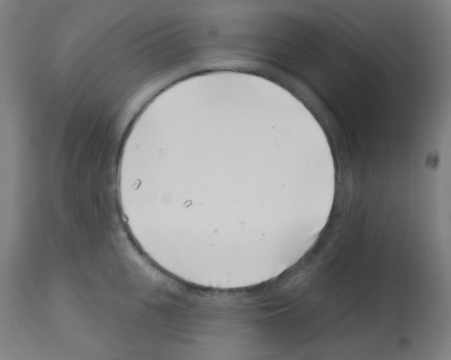 X0000113000951200910081154