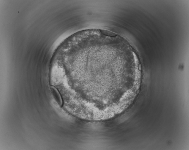 X0000113000952200910081154