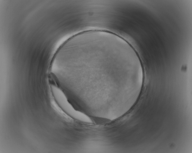 X0000113000958200910081154