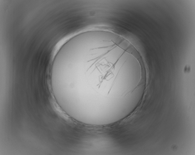 X0000113000960200910081154