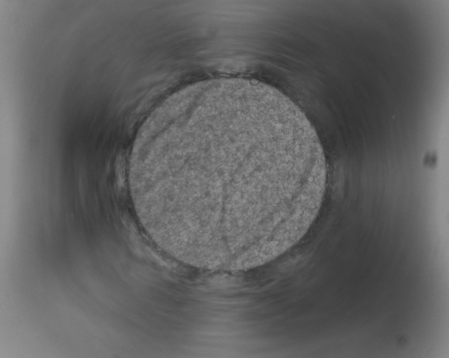 X0000113000962200910081154