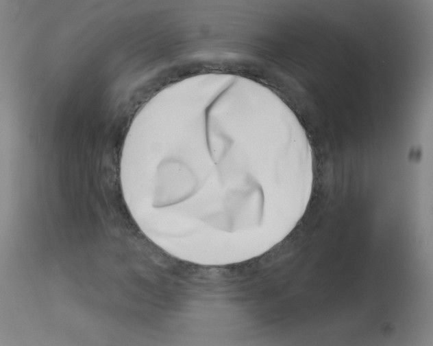 X0000113000966200910081154