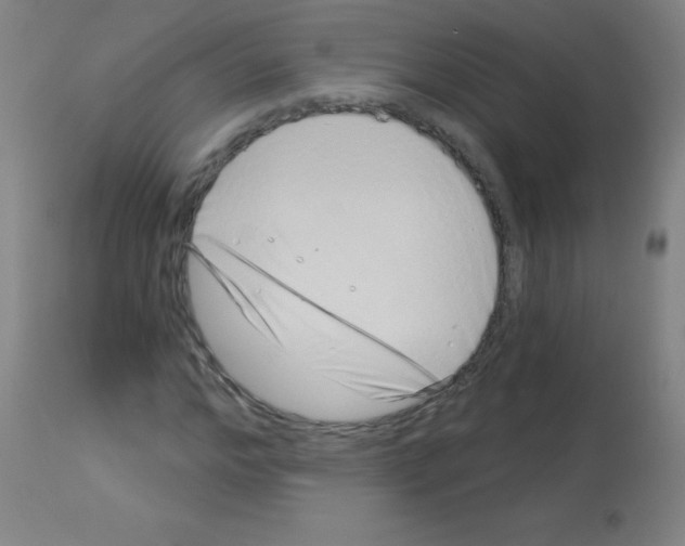 X0000113000968200910081154