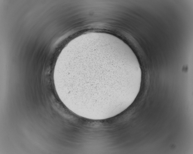 X0000113000971200910081154