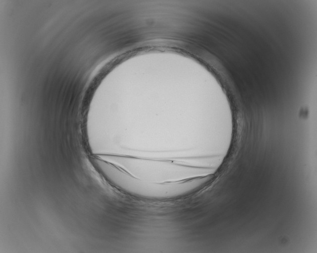 X0000113000972200910081154