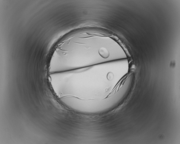 X0000113000973200910081154