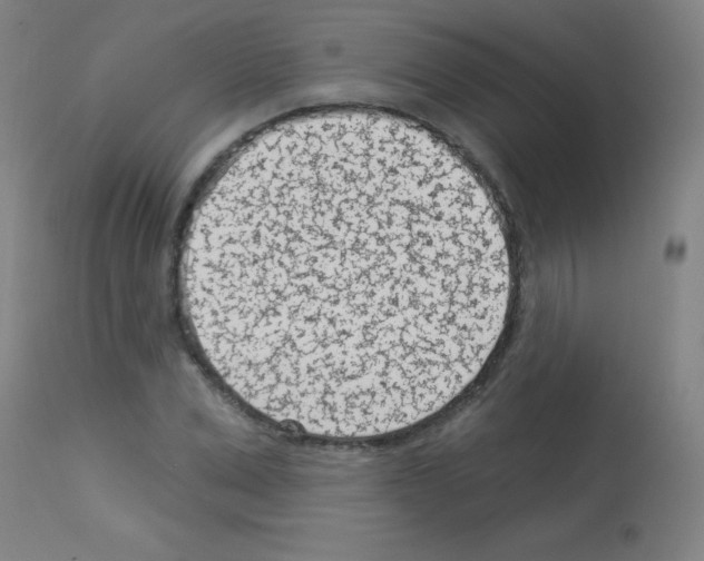 X0000113000975200910081154