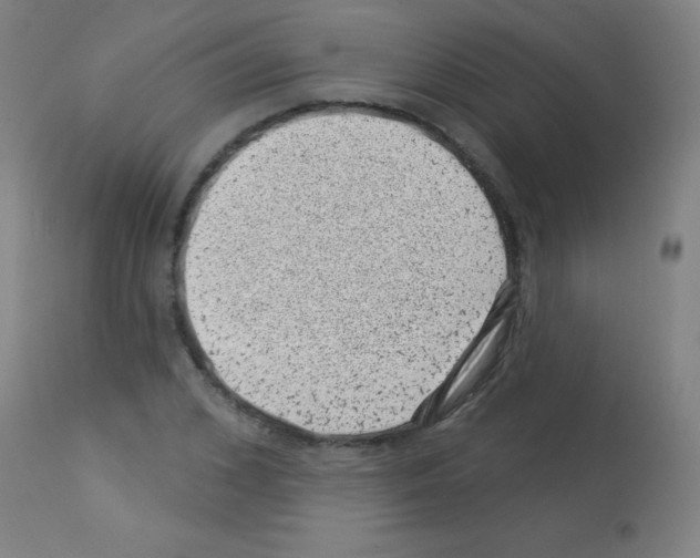 X0000113000976200910081154