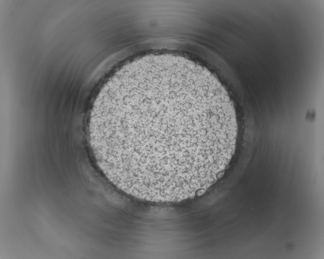 X0000113000978200910081153