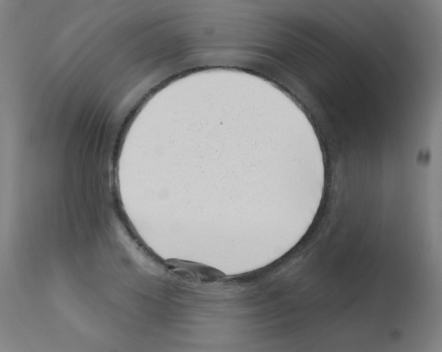 X0000113000980200910081153