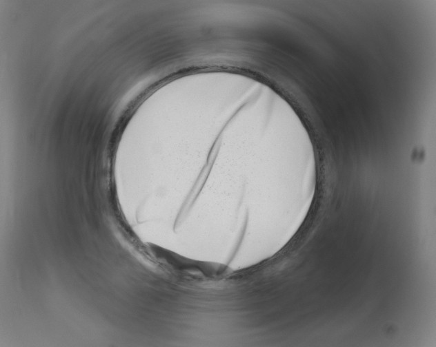 X0000113000982200910081153