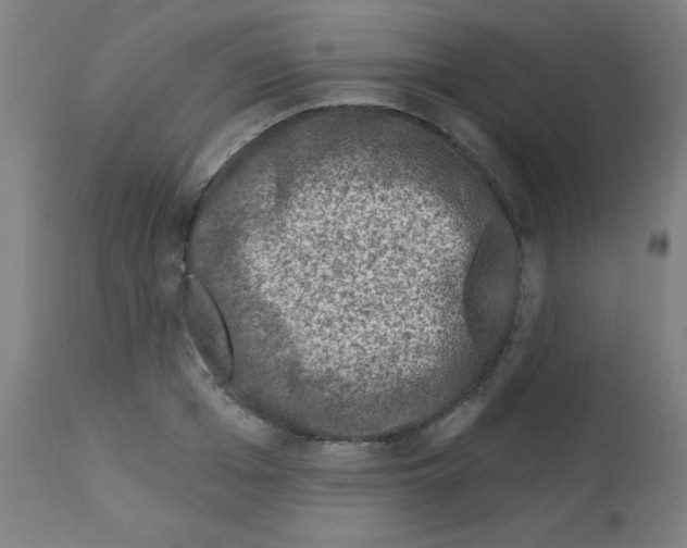 X0000113000985200910081153