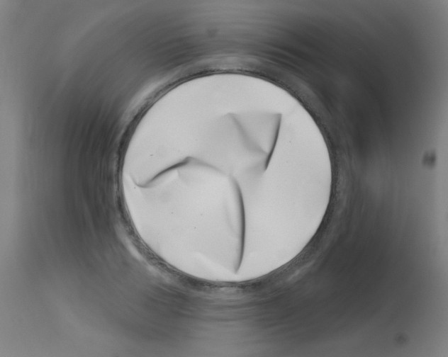 X0000113000986200910081153