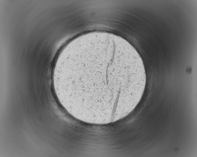 X0000113000987200910081153