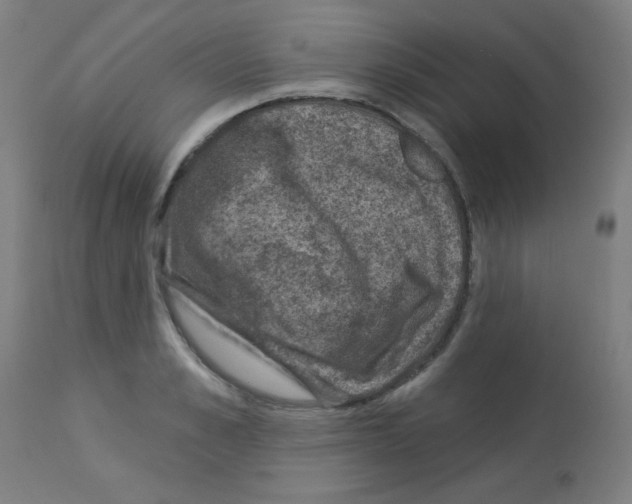 X0000113000989200910081153