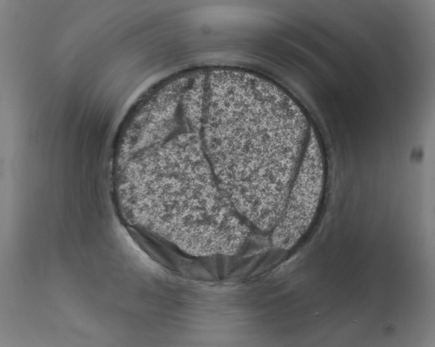 X0000113000992200910081153