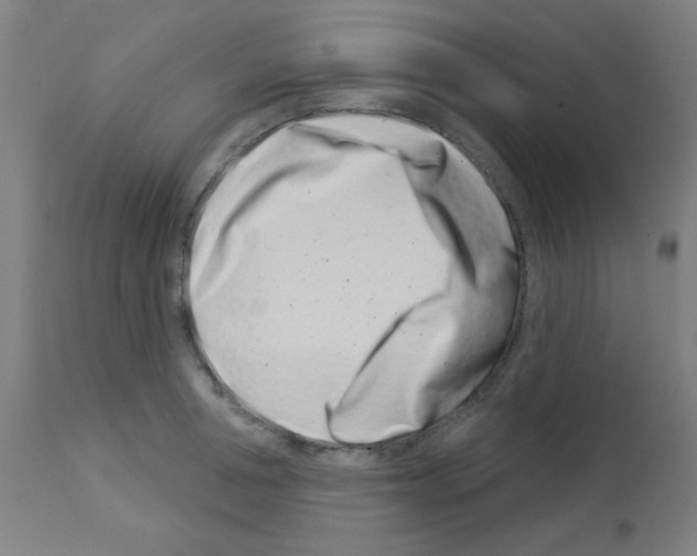 X0000113000994200910081153