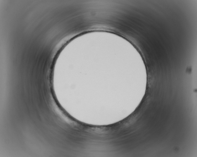 X0000113000995200910081153