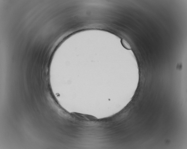 X0000113000996200910081153