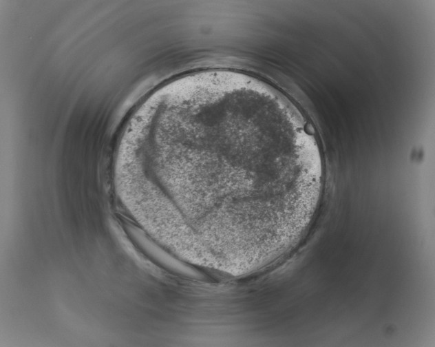 X0000113000997200910081153