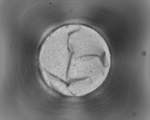 X0000113000998200910081153