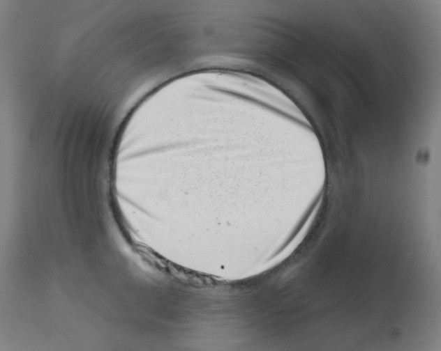 X0000113000999200910081153