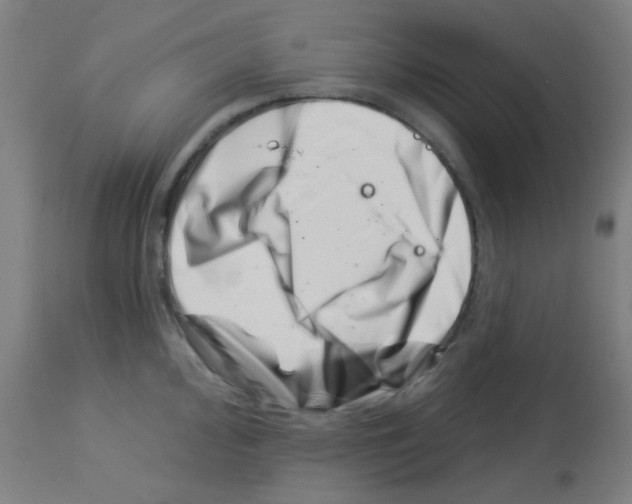 X0000113001000200910081153