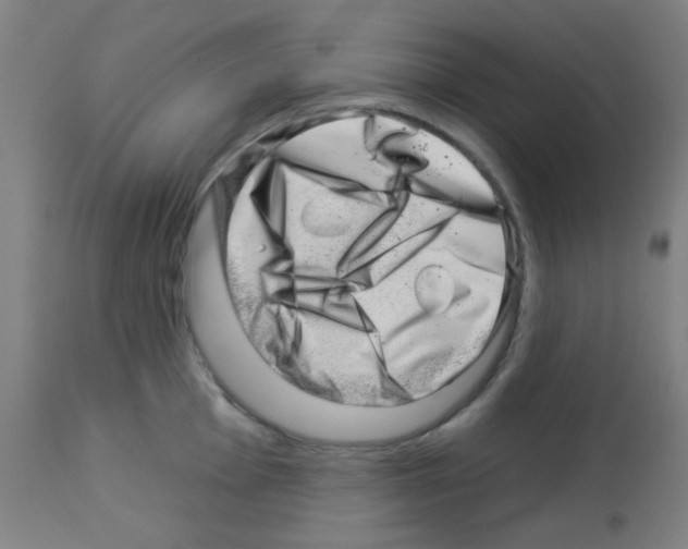 X0000113001001200910081153