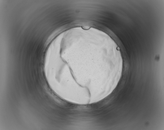 X0000113001002200910081153