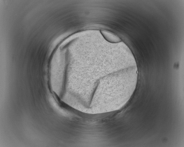 X0000113001003200910081153