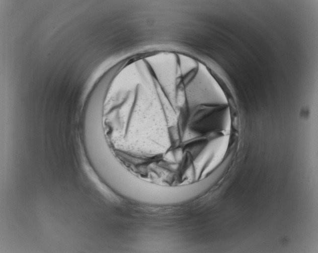 X0000113001005200910081153