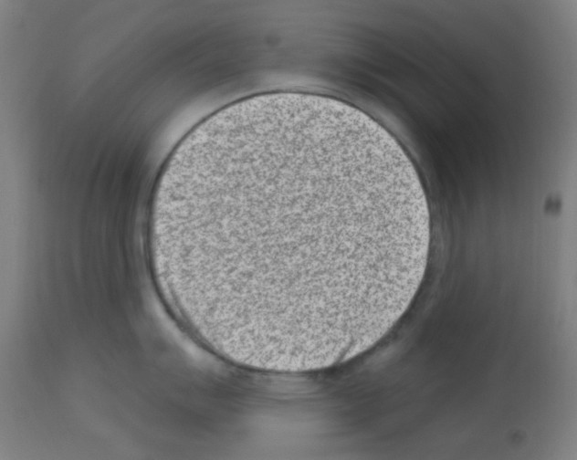 X0000113001007200910081153