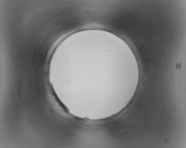 X0000113001008200910081153