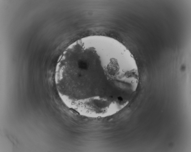 X0000113001010200910081152