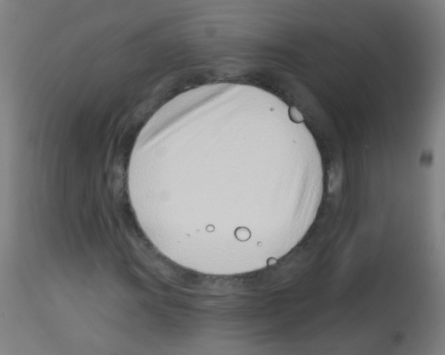 X0000113001011200910081152