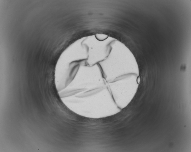 X0000113001012200910081152