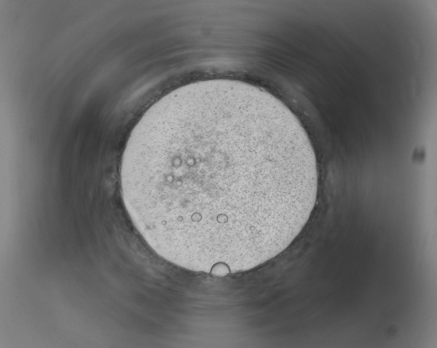 X0000113001015200910081152