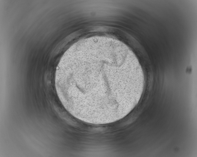 X0000113001017200910081153