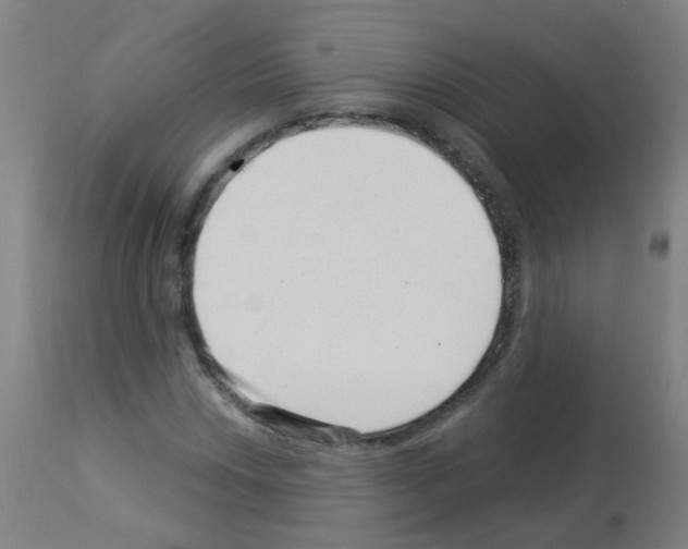 X0000113001018200910081153