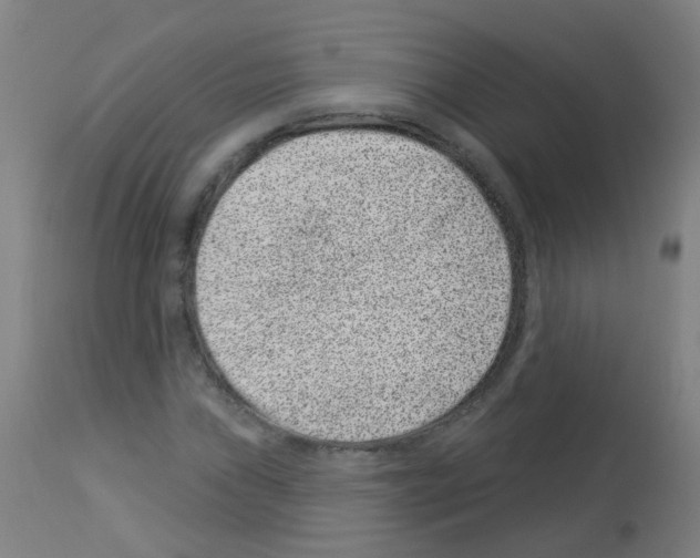 X0000113001019200910081153