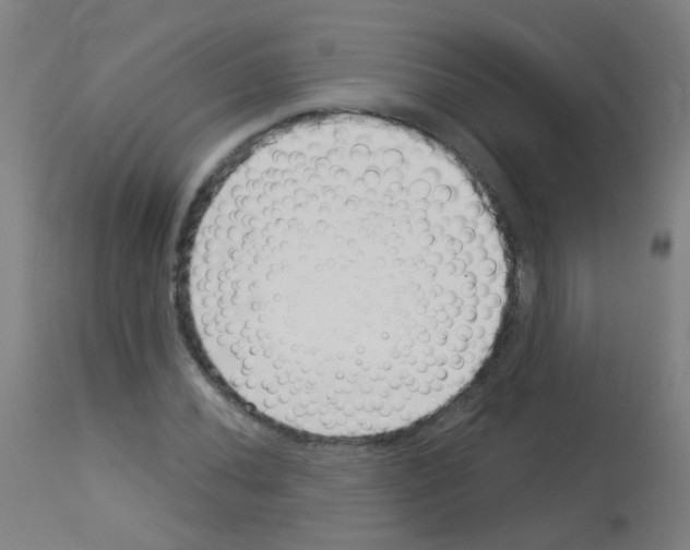 X0000113001020200910081153