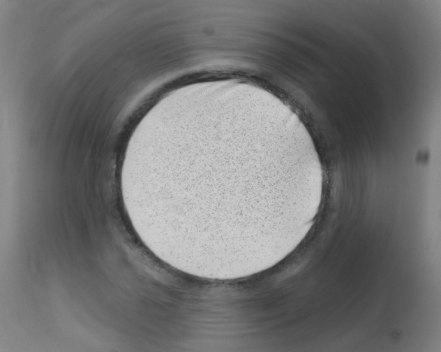 X0000113001021200910081153