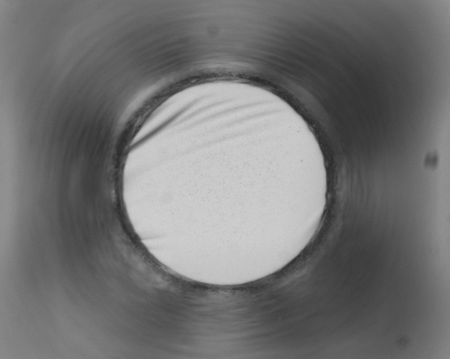 X0000113001022200910081153